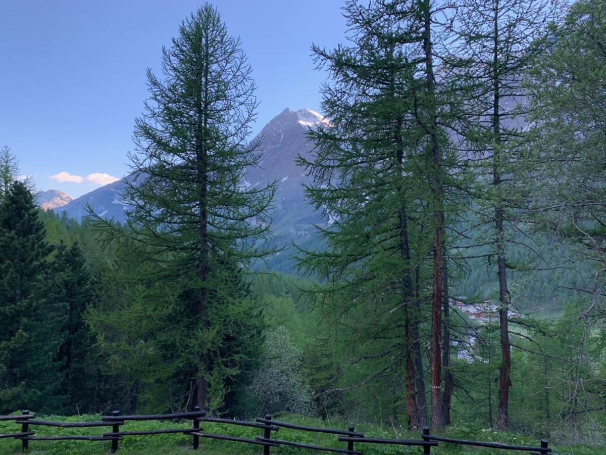 Casa Camas, Wide 2Bedroom, Feel The Mountain Breuil-Cervinia Exterior foto